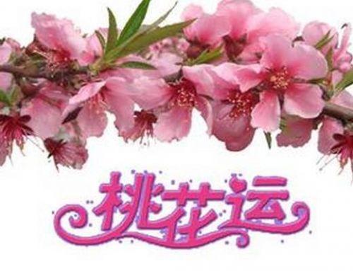 怎么从八字算命看桃花运