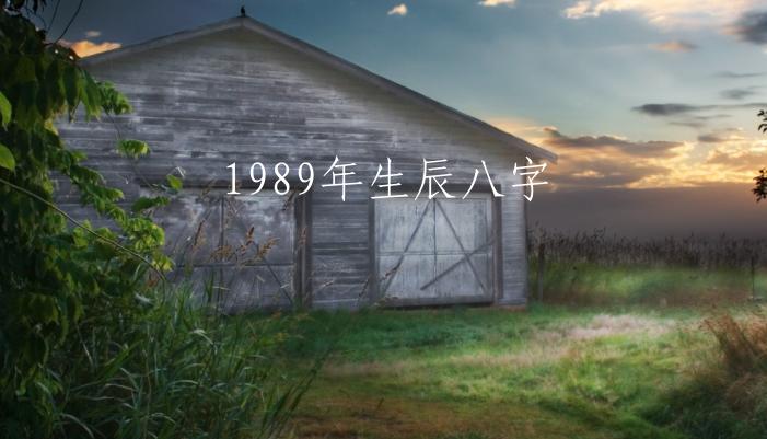 1989年生辰八字的简单介绍