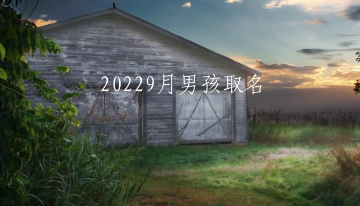 20229月男孩取名，男孩名字猪年十二月份