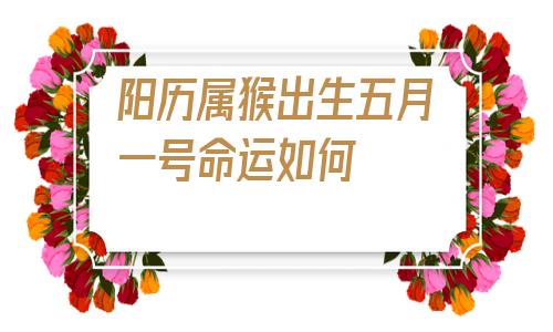 阳历属猴出生五月一号命运如何